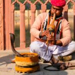 snake charmer
