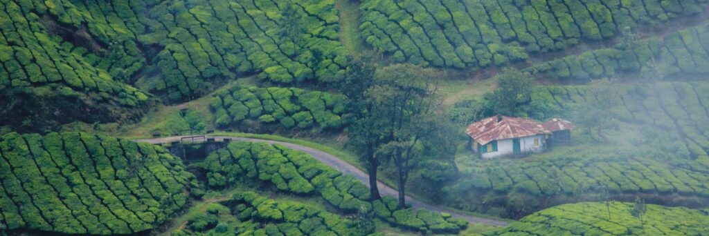 KERALA INDIA