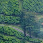munnaR KERALA