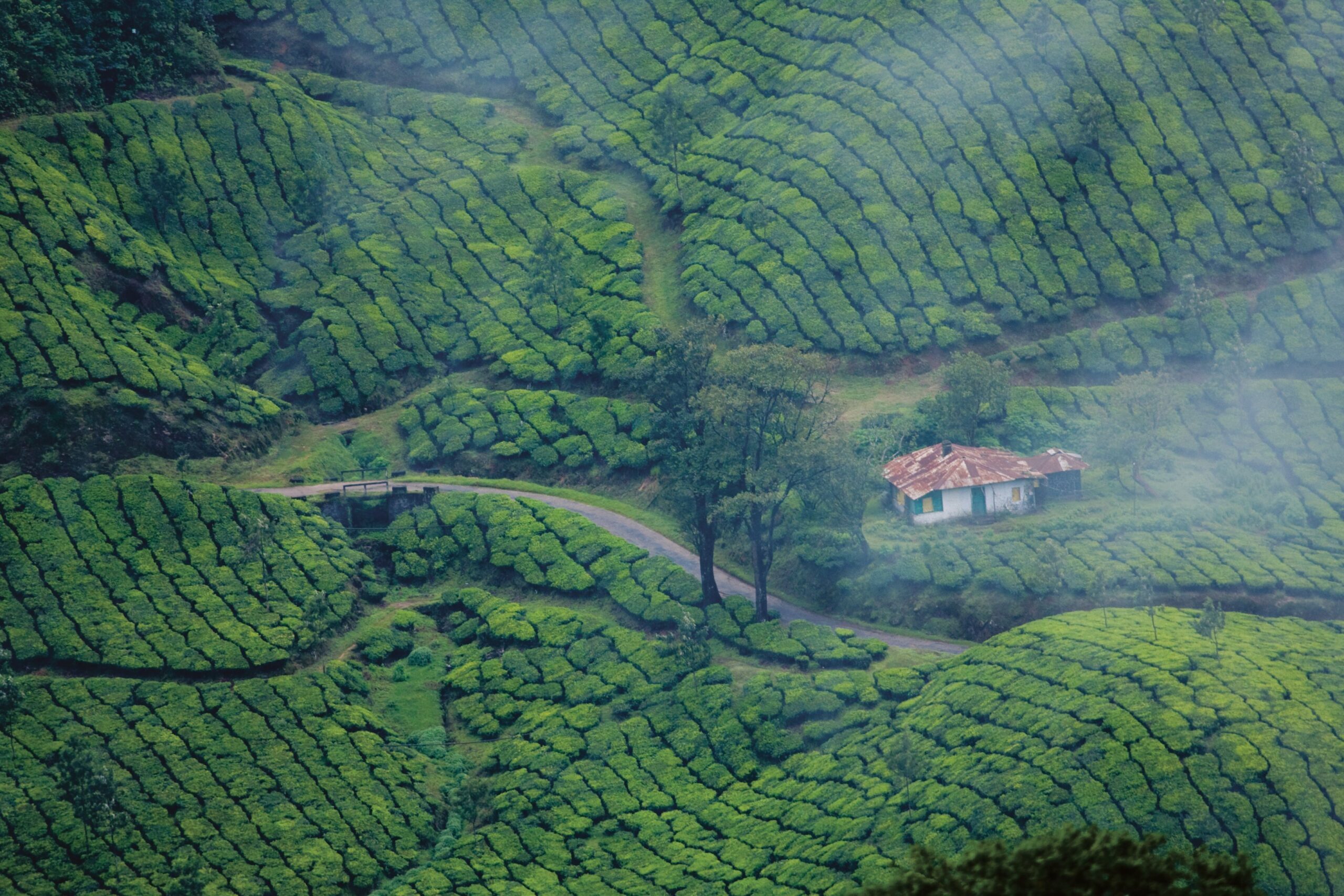 KERALA INDIA