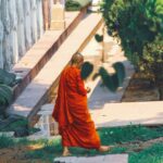 buddha-7329579