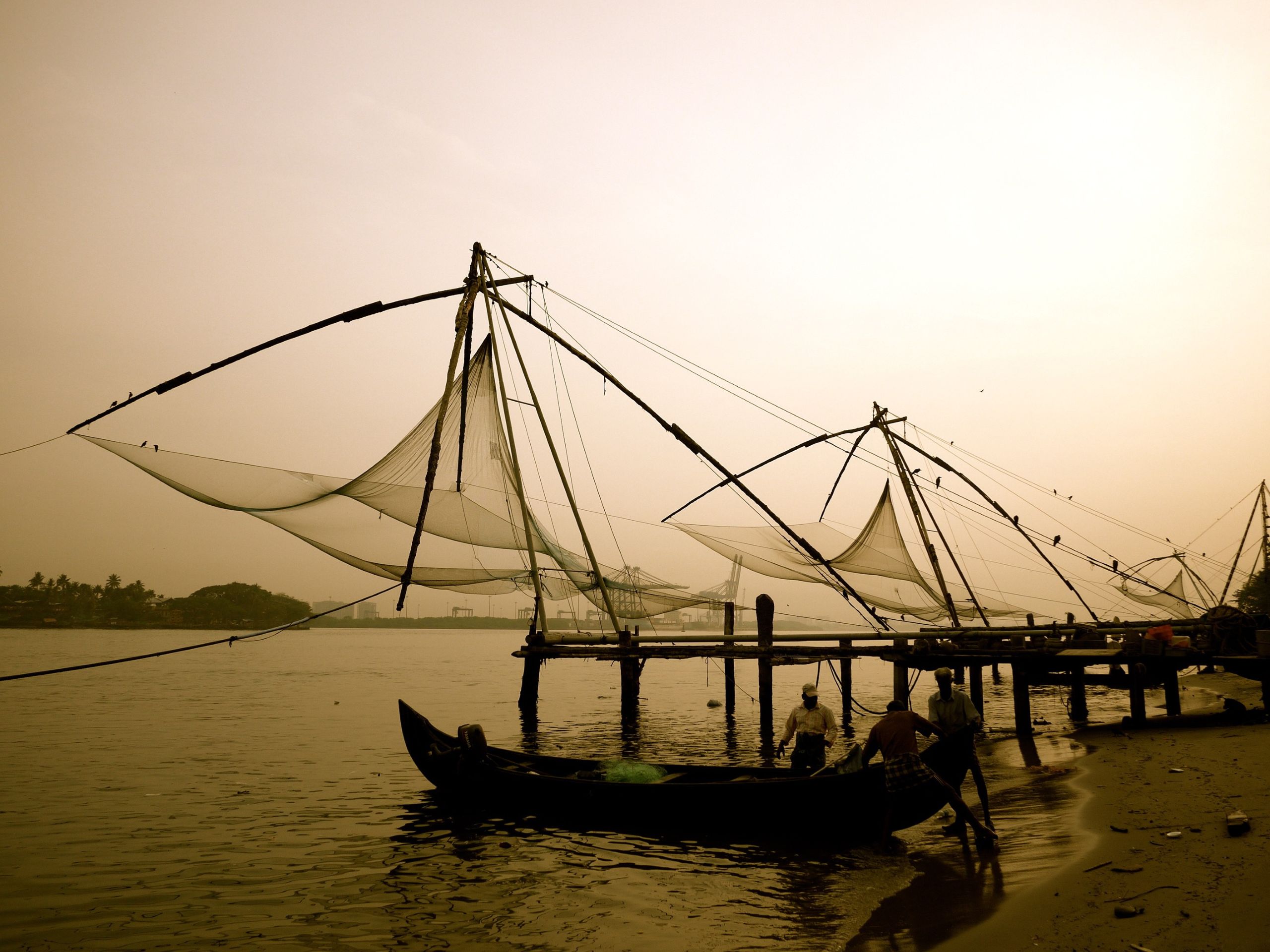 fishing-262496
